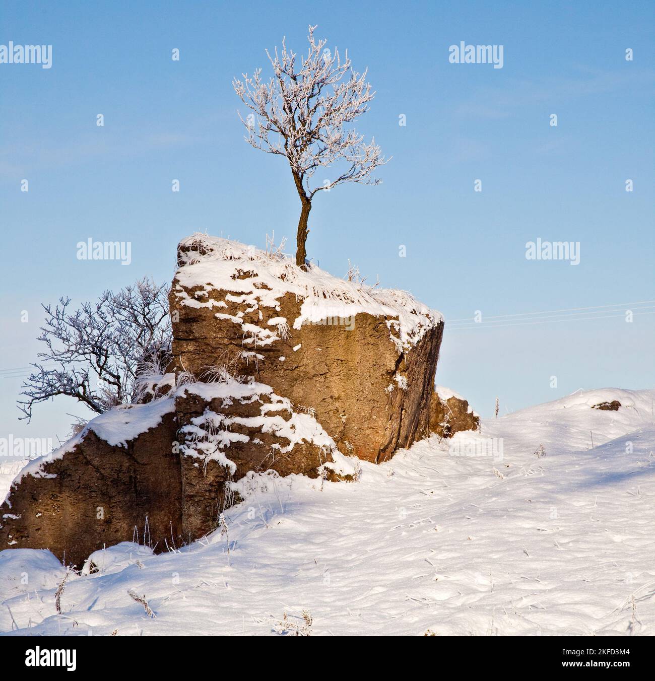 Wintersonne mit blauem Himmel`s, Schnee und Frost bedeckt Baum auf Harboro Rocks. Sind ein Rand von magnesischem Kalkstein in der Nähe von Brassington, bieten Stockfoto